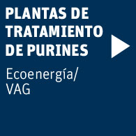 plantas-neoelectra-purines