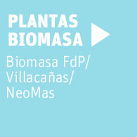 plantas-neoelectra-biomasa