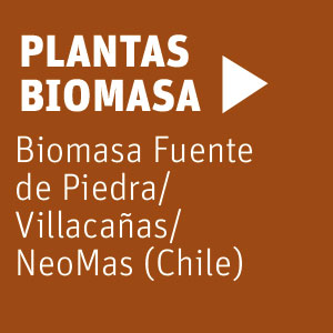 Neoelectra cogeneración plantas biomasa