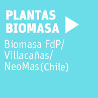 plantas-neoelectra-biomasa