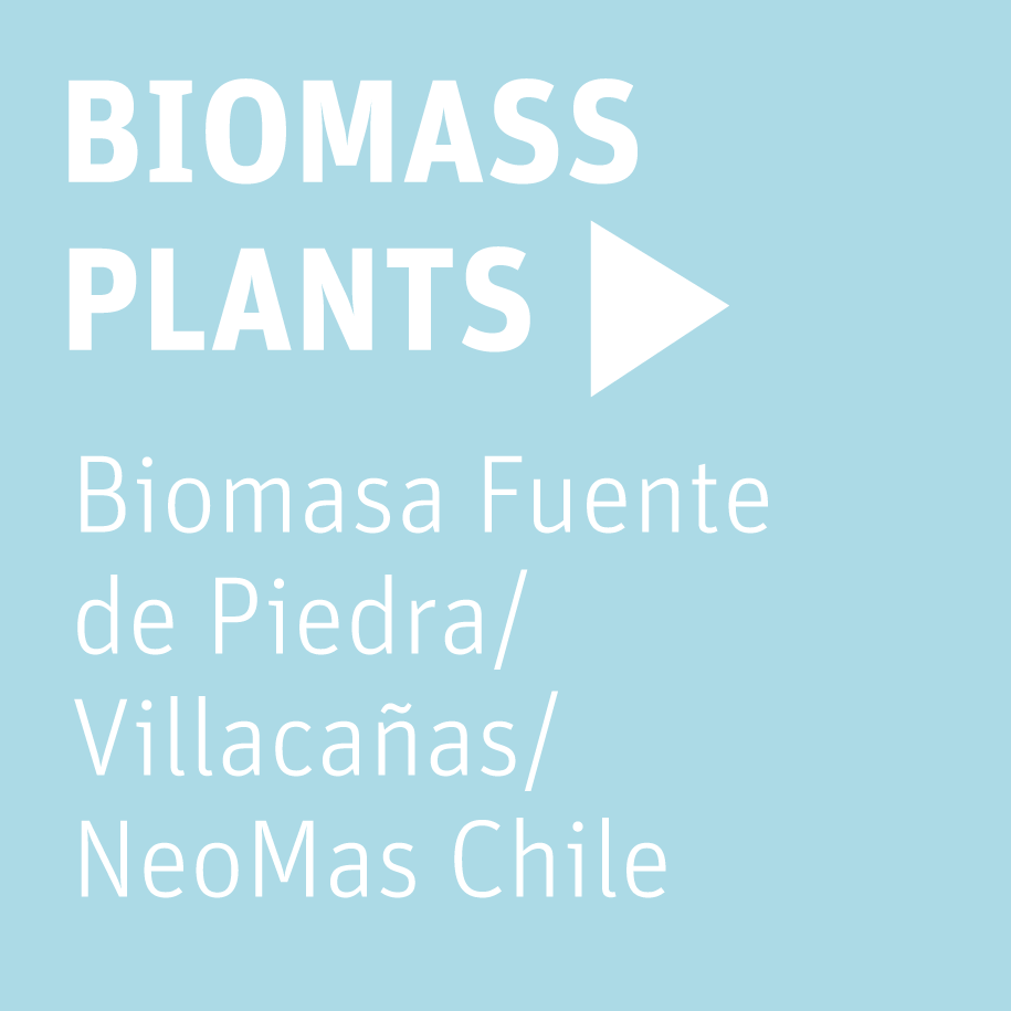 NEOELECTRA energy biomass