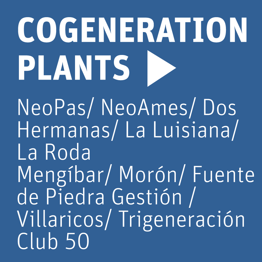 cogeneration-NEOELECTRA-energy
