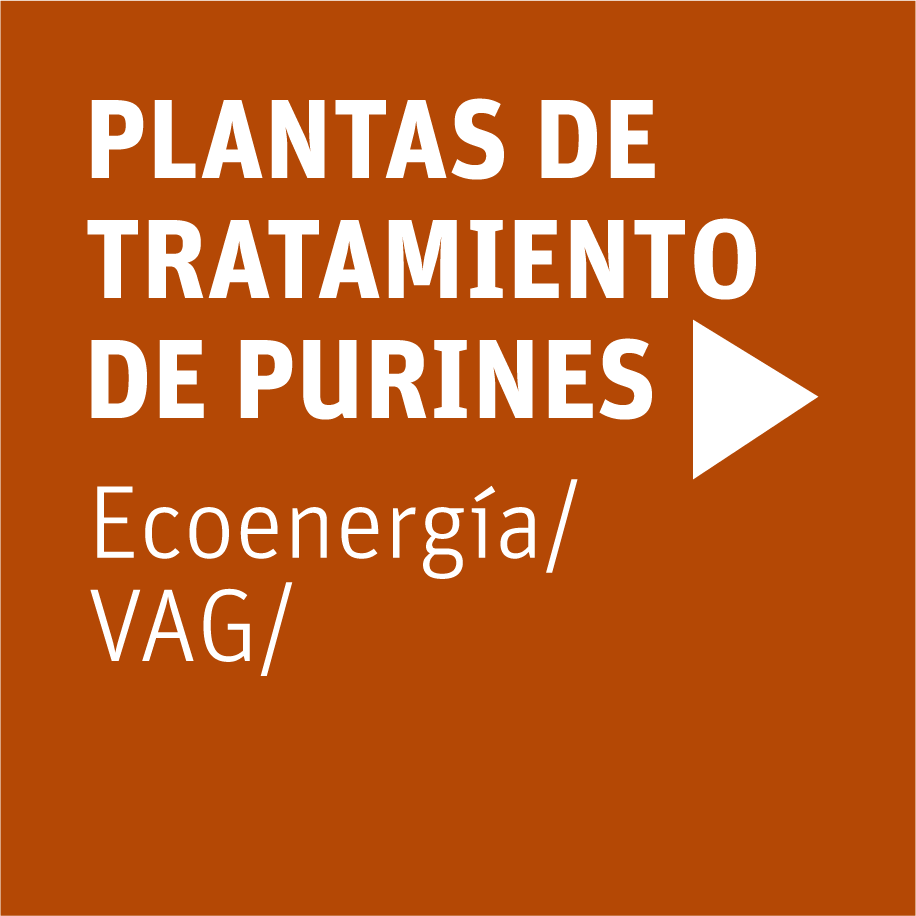 plantas-neoelectra-purines