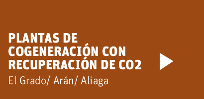 NEOELECTRA-COGENERATION-PLANTS-CO2--RECOVERY