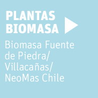 Plantas Neoelectra Biomasa