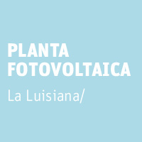plantas-neoelectra-purines