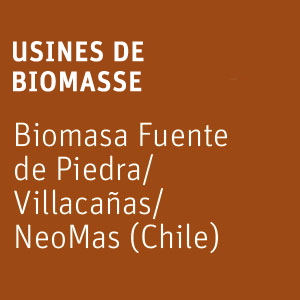 plantas-neoelectra-biomasa