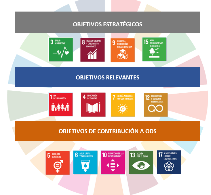 Neoelectra incorporará 12 Objetivos de Desarrollo Sostenible en el Plan Estratégico & Desarrollo Corporativo del Grupo para contribuir a alcanzar los desafíos de la Agenda 2030