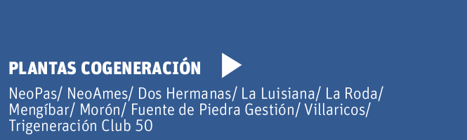 Cogeneracion