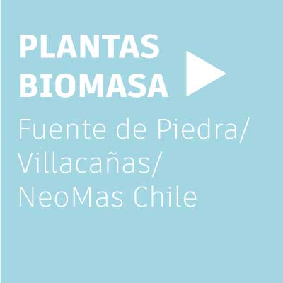plantas-neoelectra-biomasa