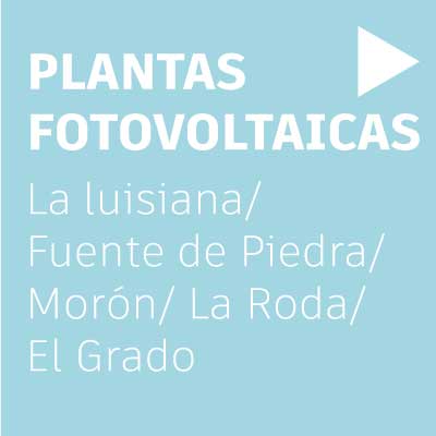 plantas-neoelectra-purines