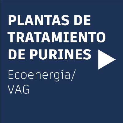 plantas-neoelectra-purines
